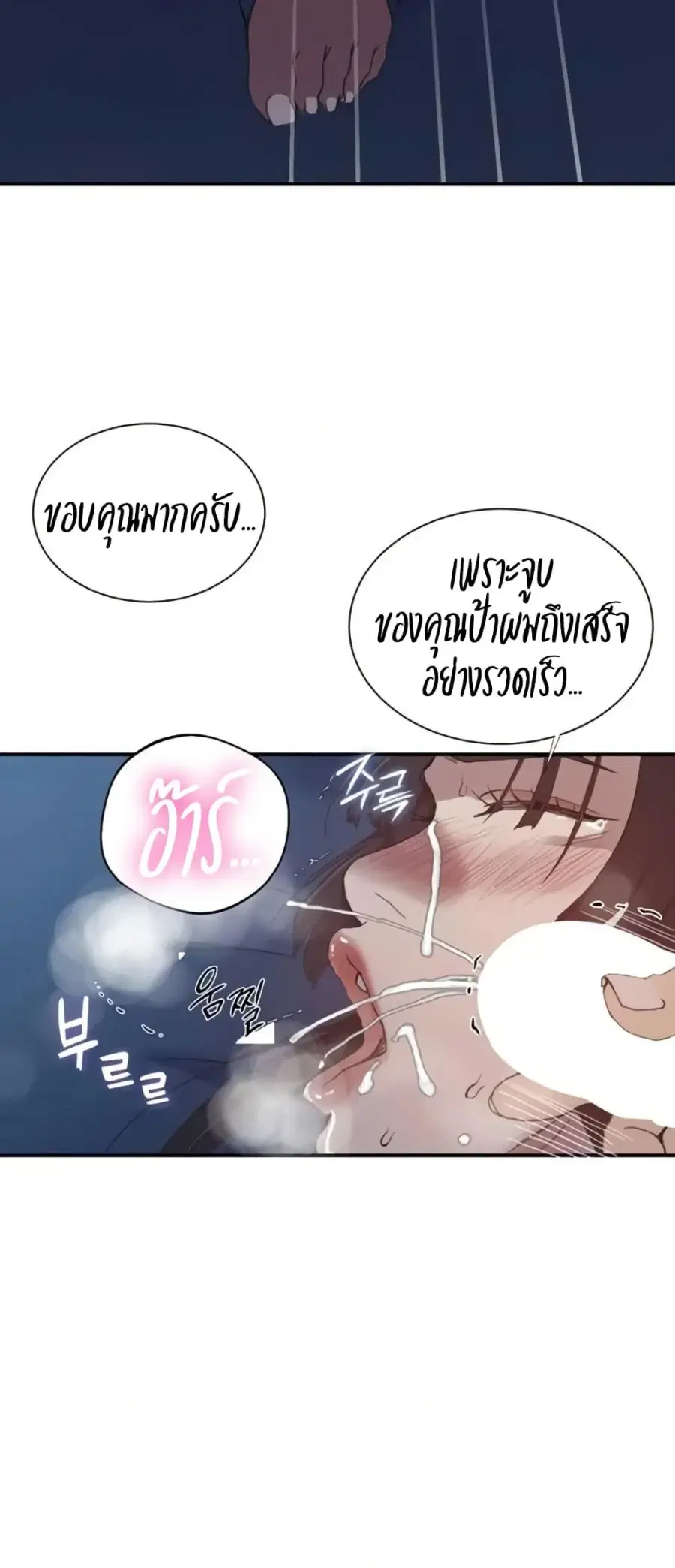หน้า 22 จาก 50