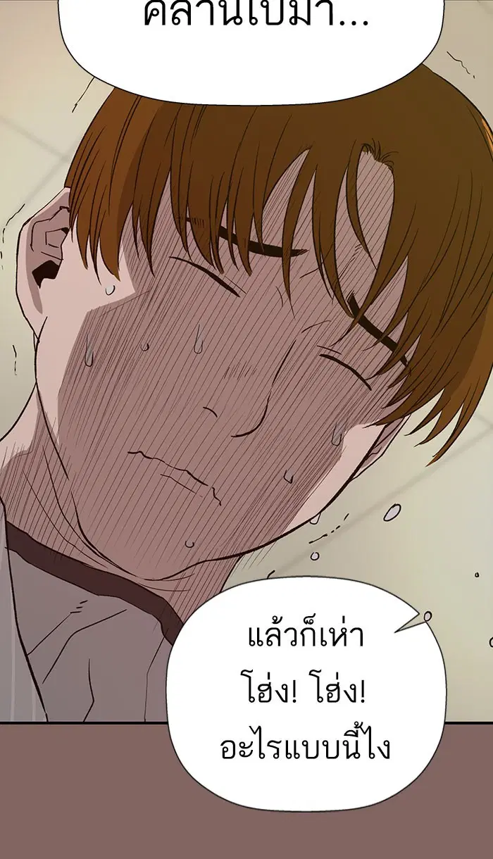 หน้า 21 จาก 98