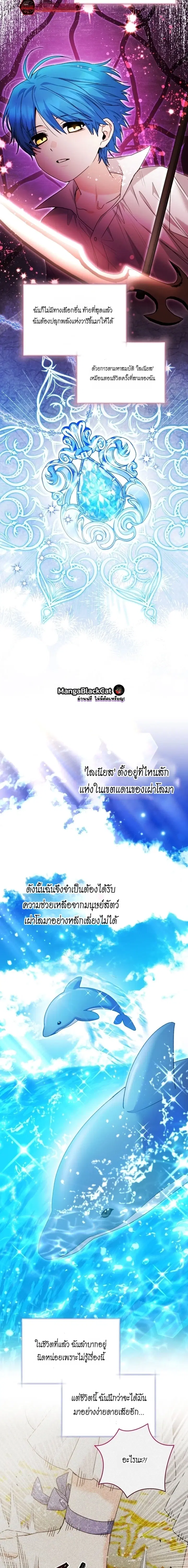 หน้า 16 จาก 17