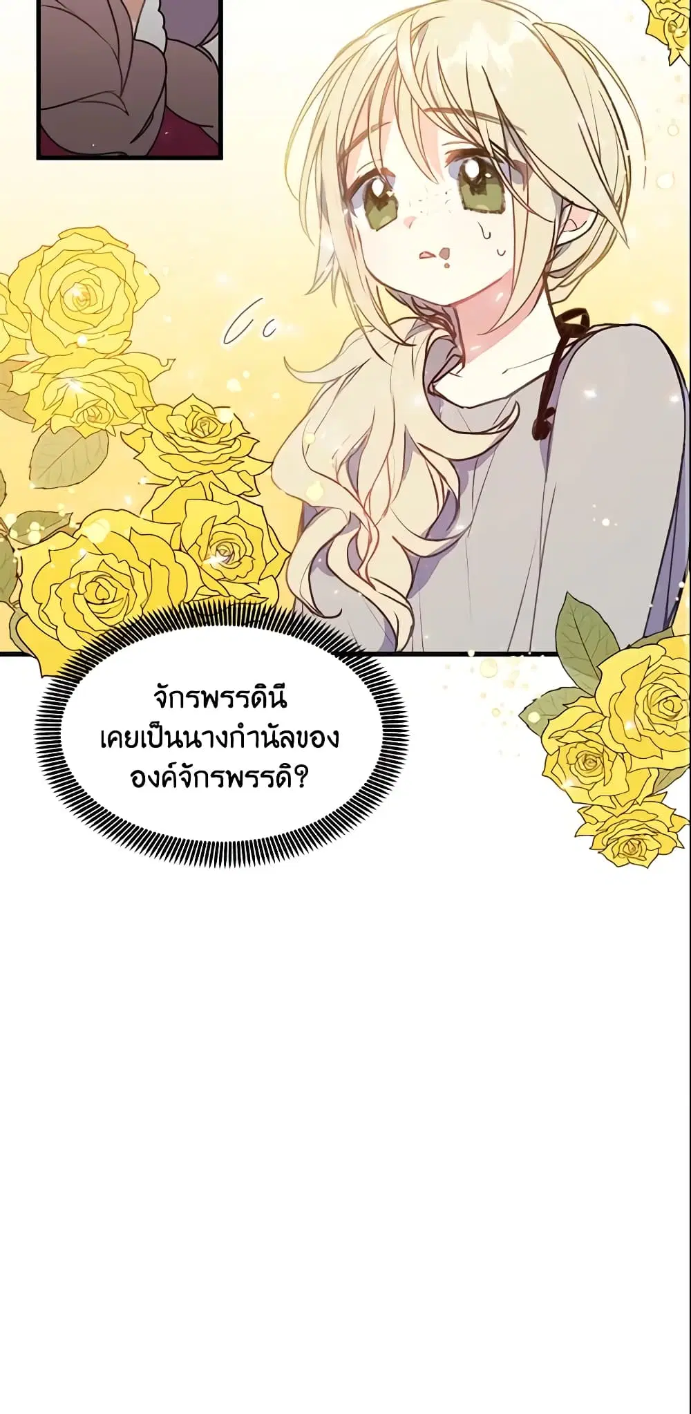 หน้า 8 จาก 28