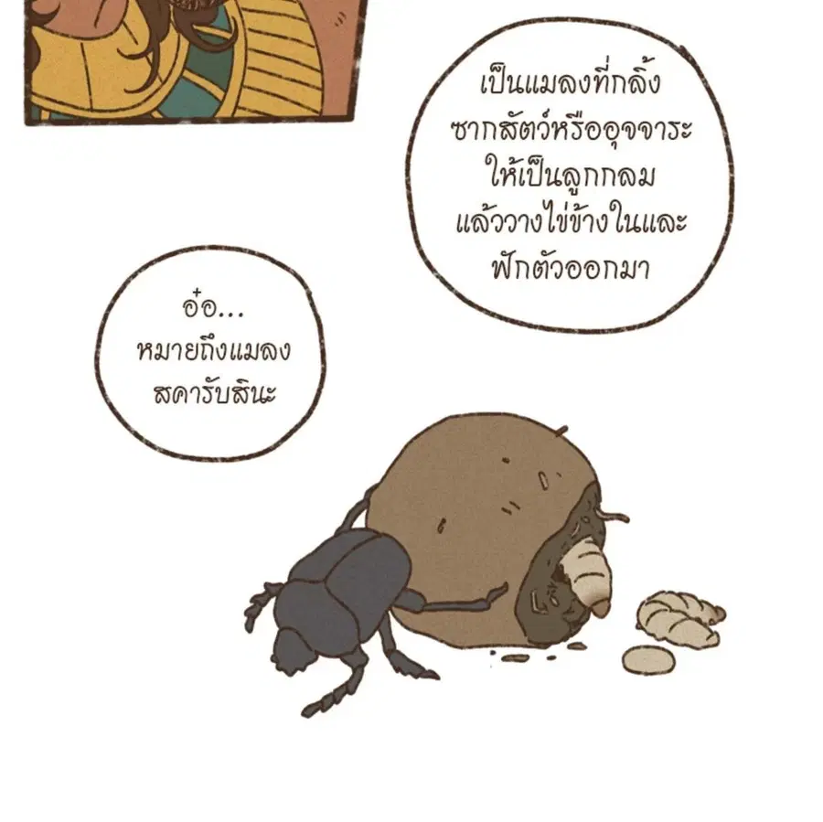 หน้า 7 จาก 64