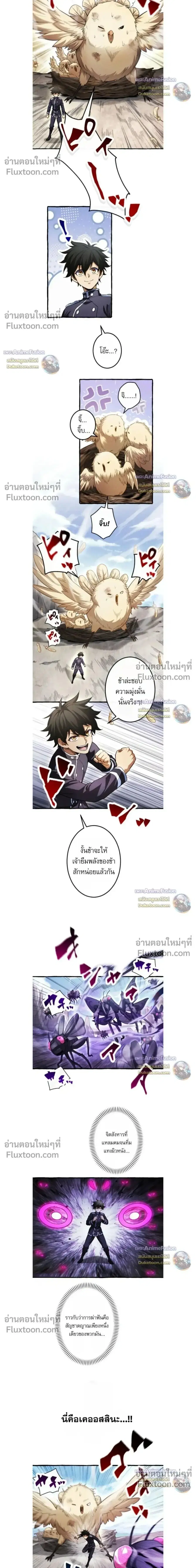 หน้า 5 จาก 13