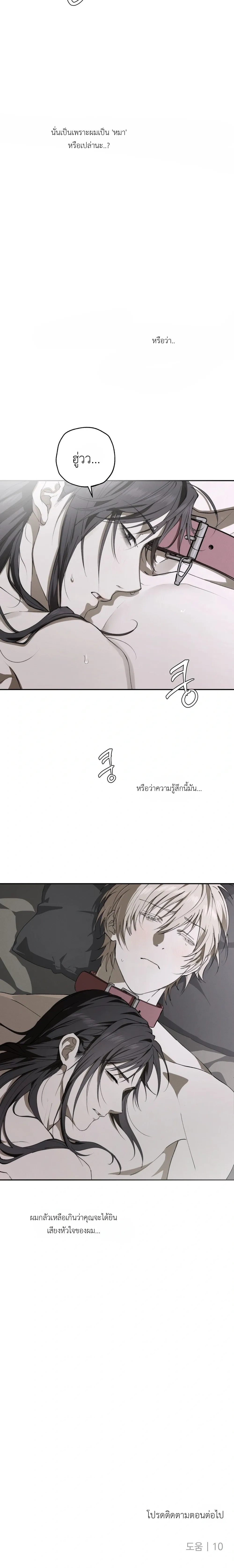 หน้า 29 จาก 29