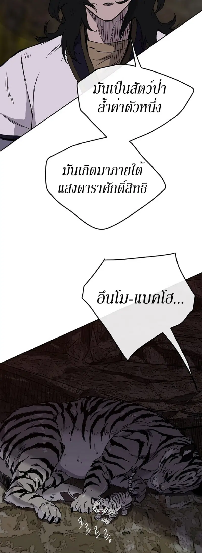 หน้า 43 จาก 51