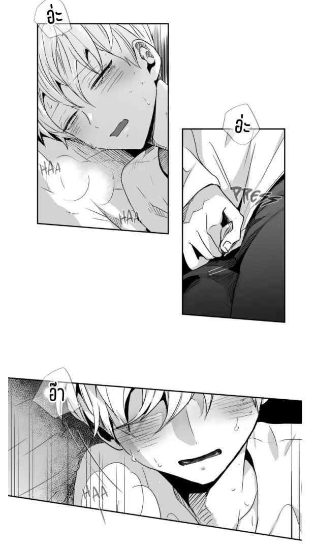 หน้า 8 จาก 36