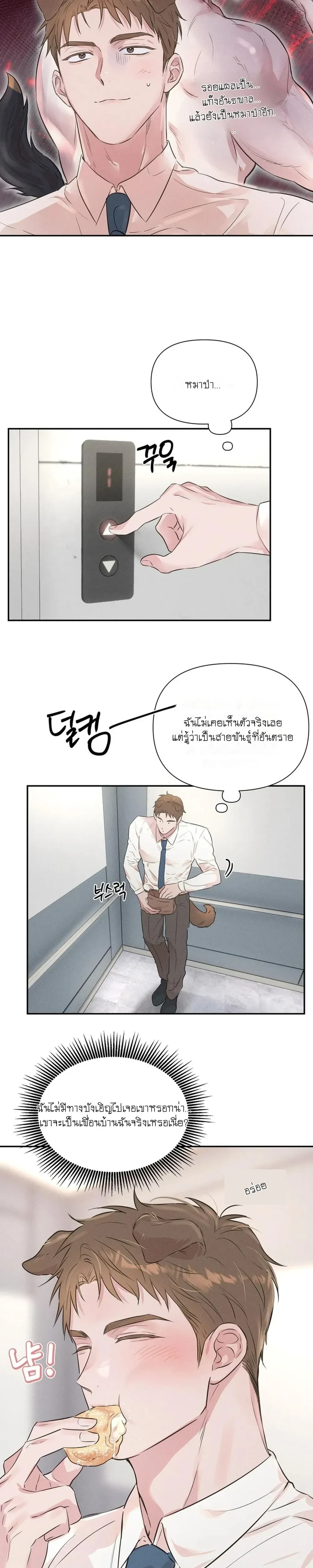 หน้า 7 จาก 18
