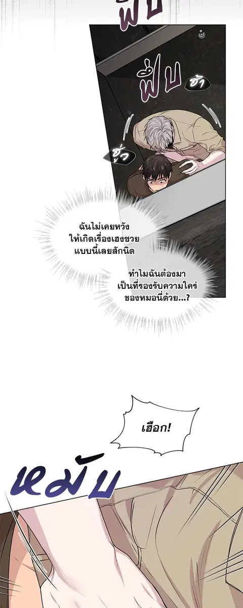 หน้า 7 จาก 56
