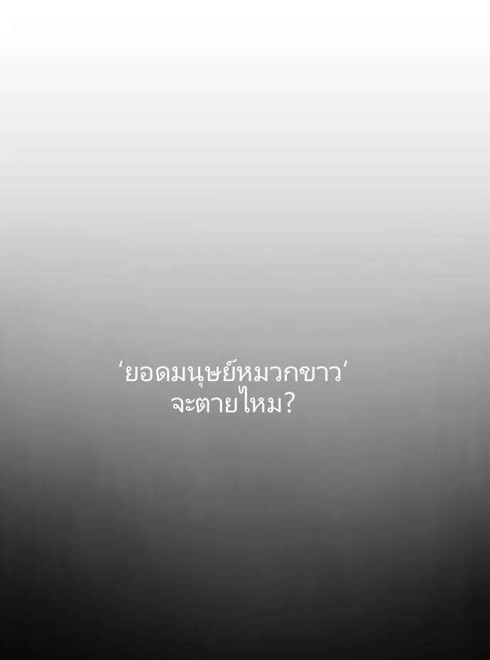 หน้า 37 จาก 130