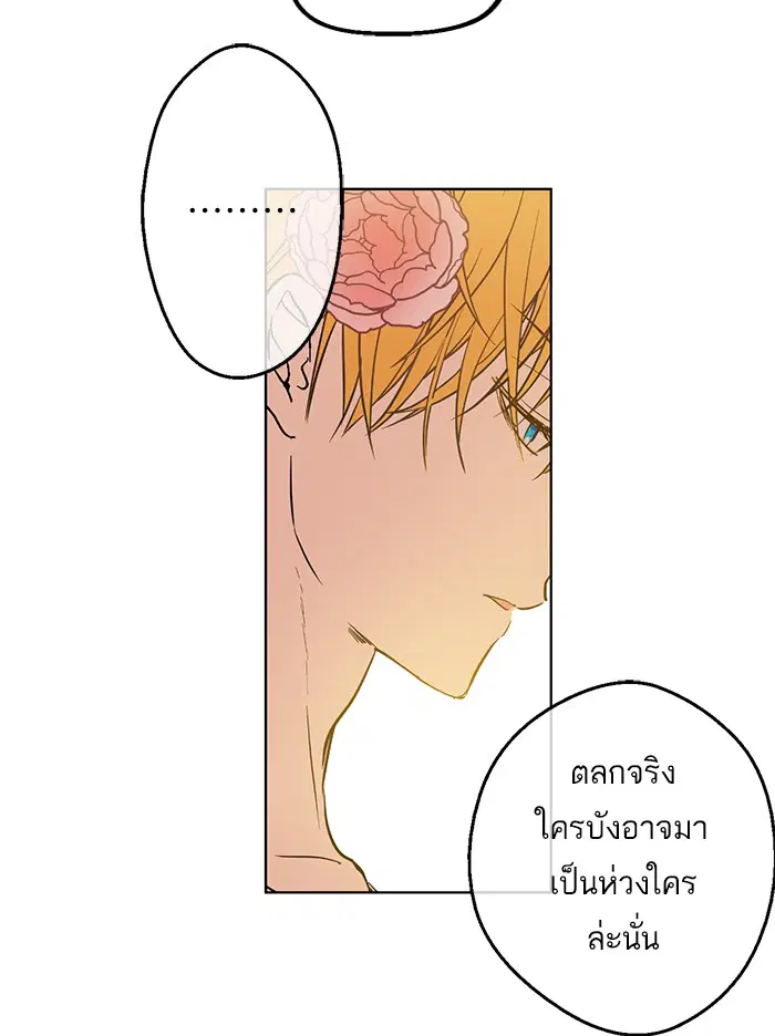 หน้า 46 จาก 78