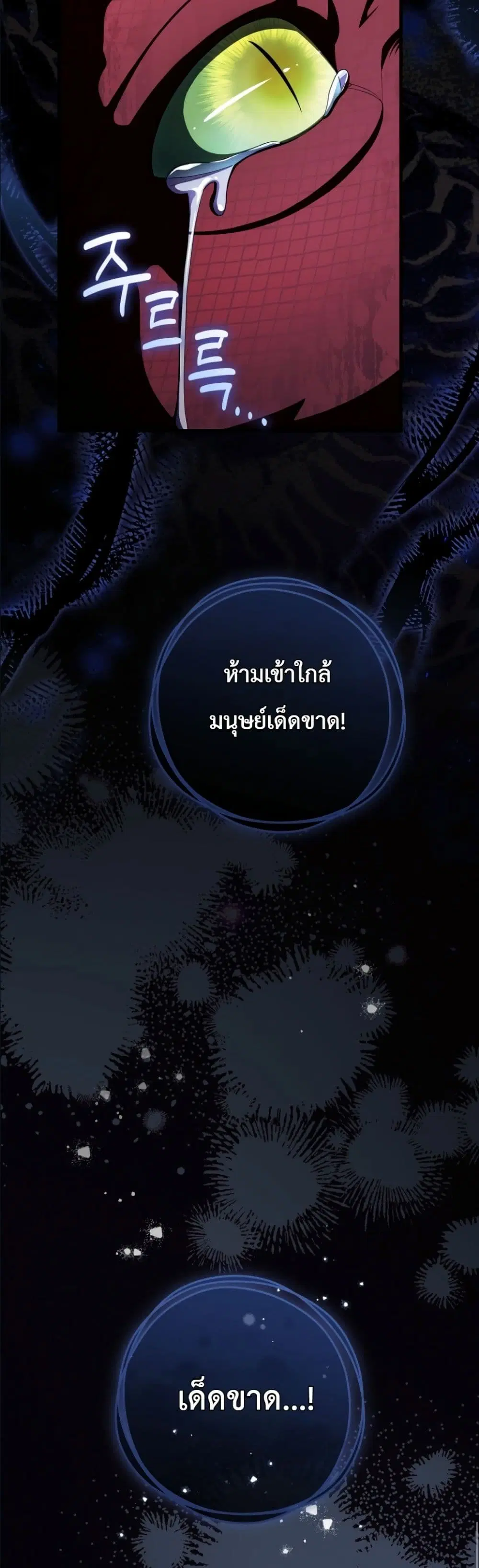 หน้า 6 จาก 62