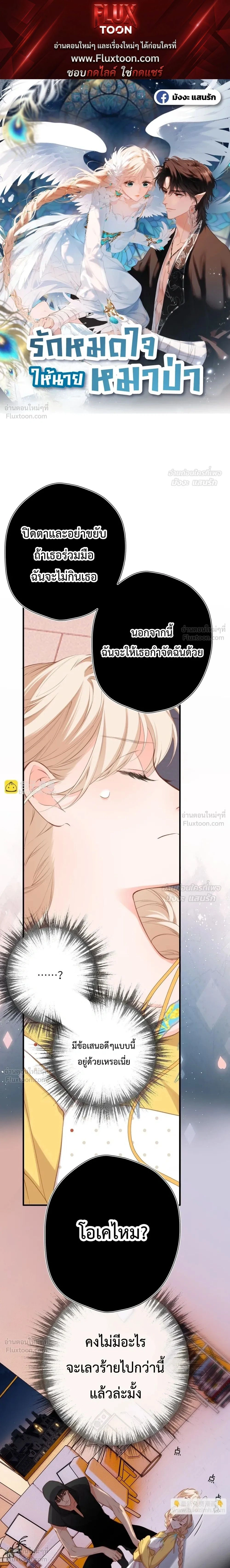 หน้า 1 จาก 13