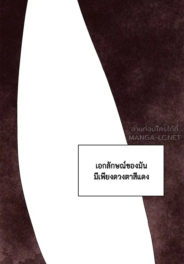 หน้า 222 จาก 252