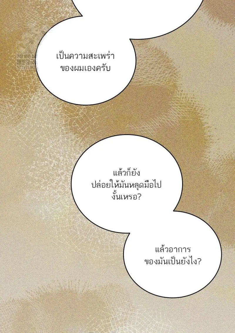 หน้า 46 จาก 165