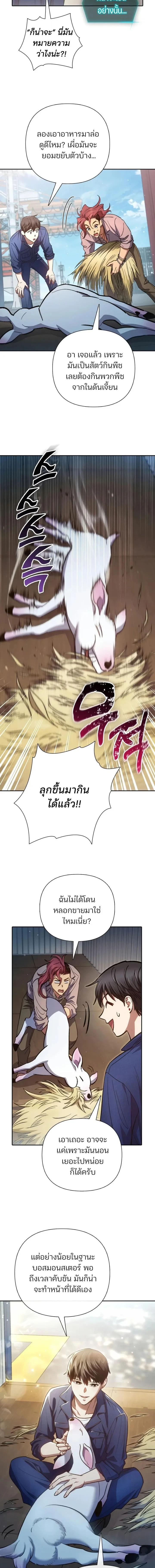 หน้า 9 จาก 17