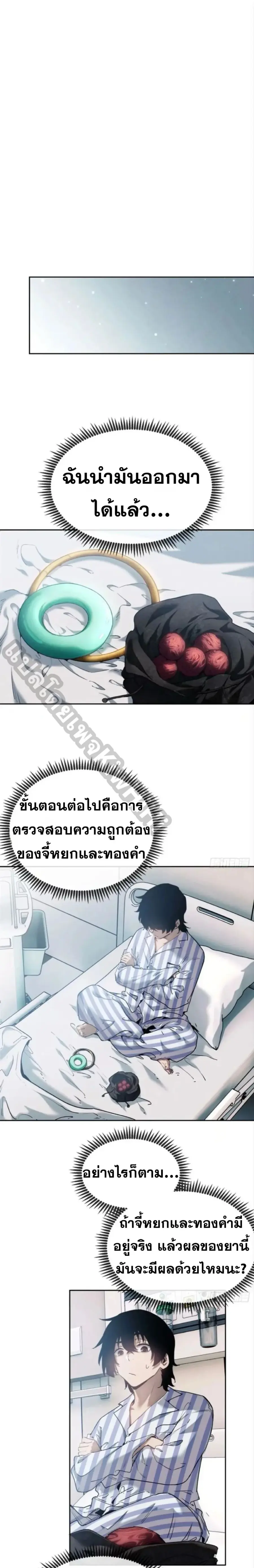 หน้า 8 จาก 13