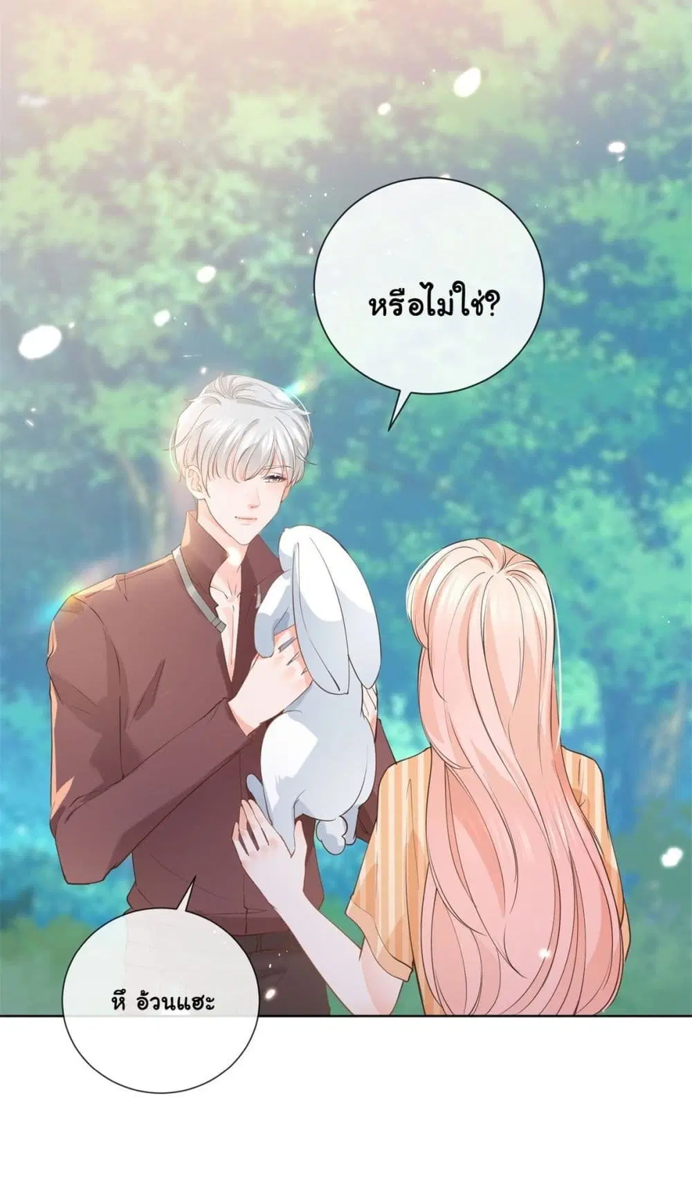 หน้า 17 จาก 42