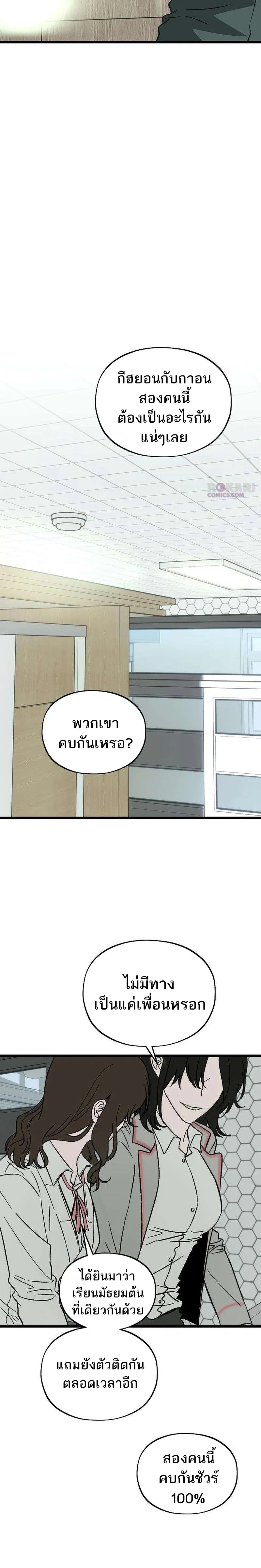 หน้า 13 จาก 38