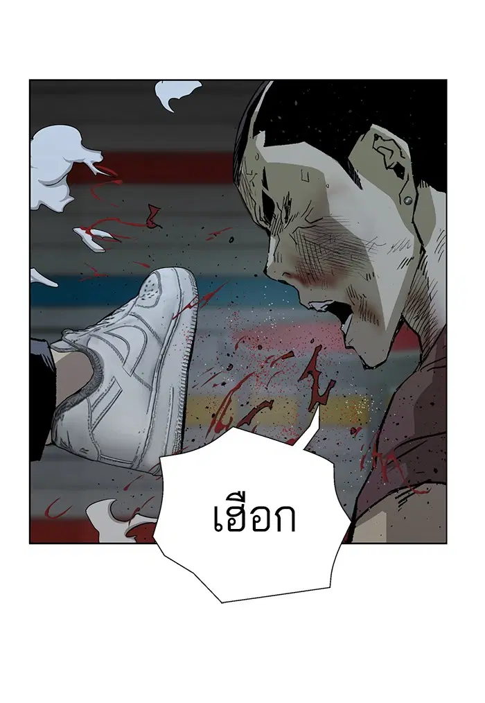 หน้า 16 จาก 167