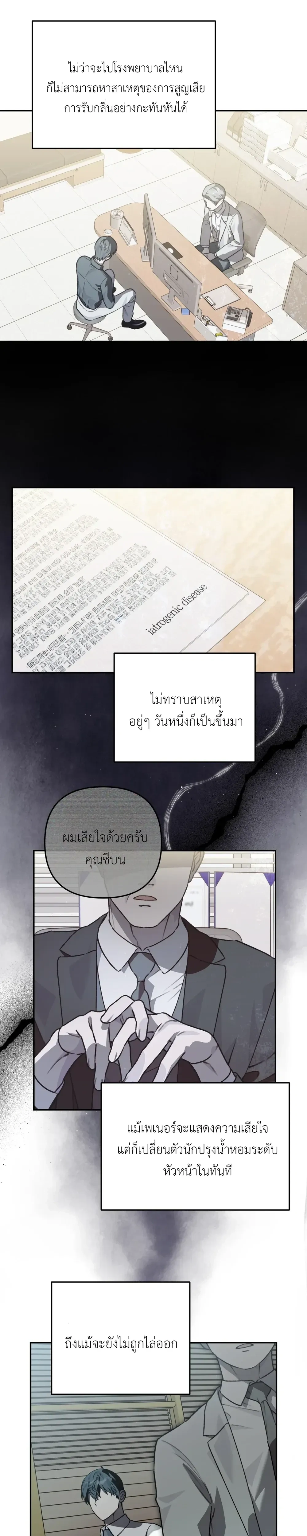 หน้า 11 จาก 46