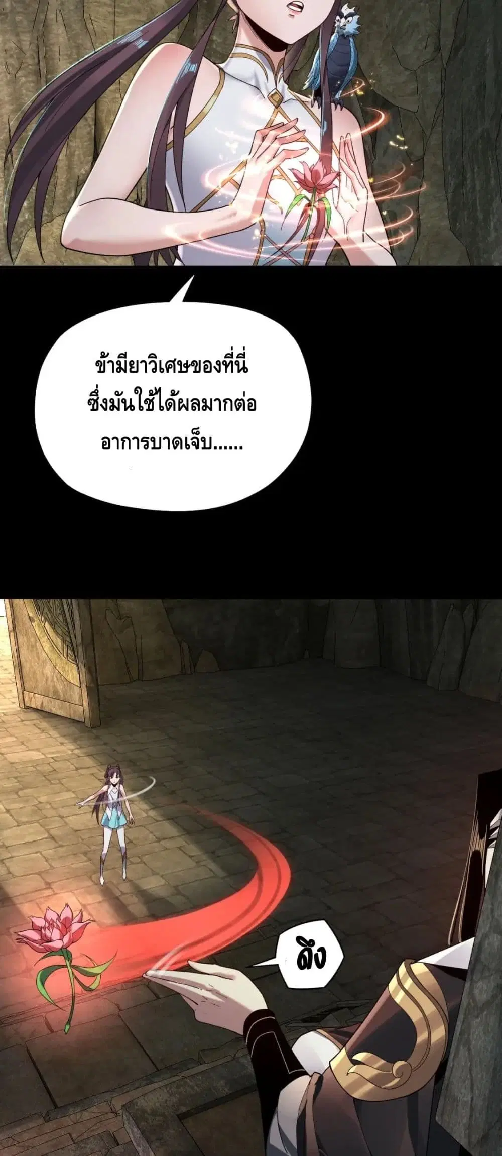 หน้า 11 จาก 42
