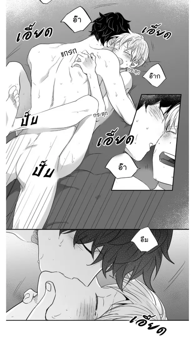 หน้า 11 จาก 40
