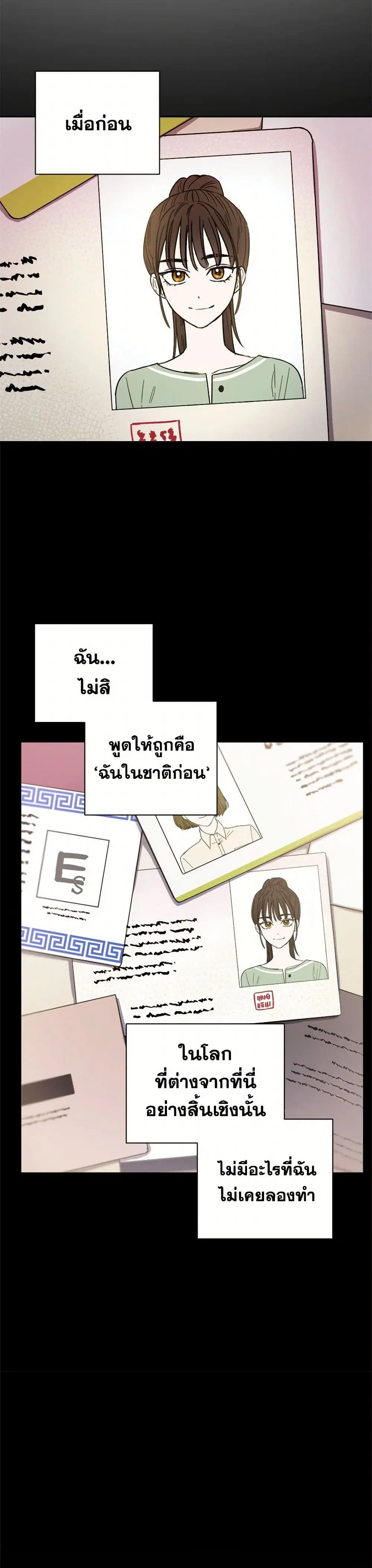 หน้า 29 จาก 41