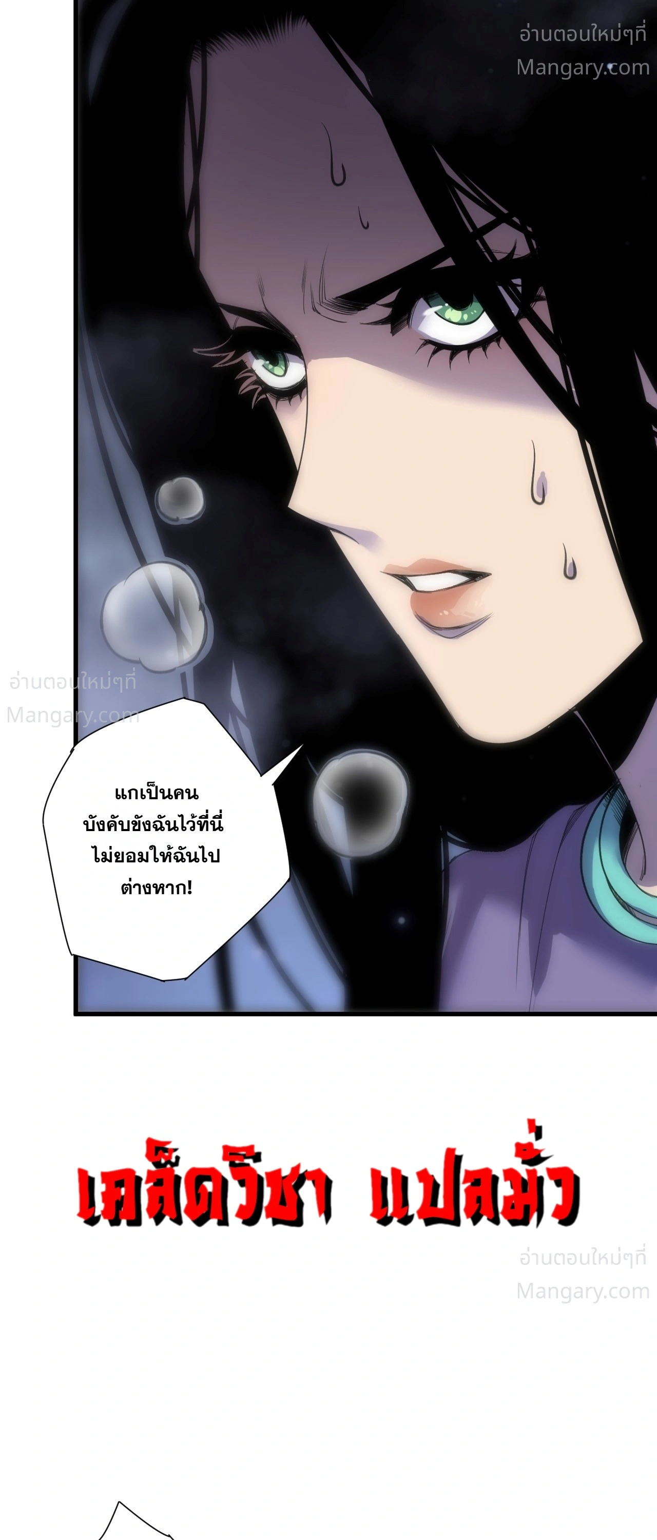หน้า 4 จาก 56