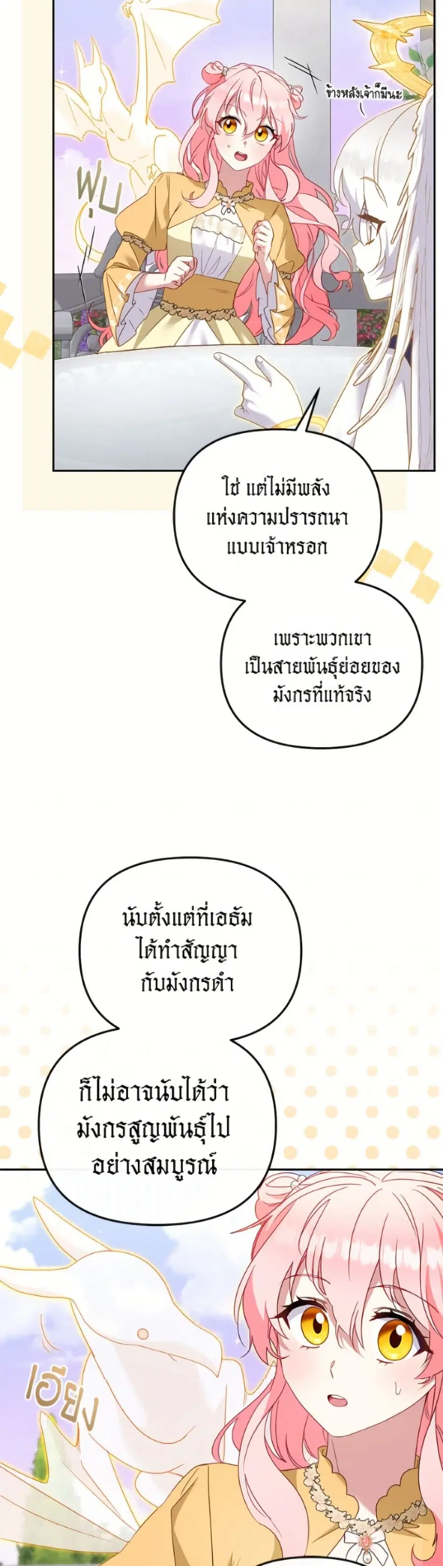 หน้า 46 จาก 52