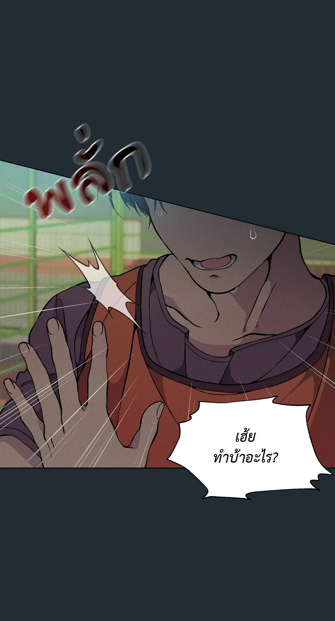 หน้า 13 จาก 81