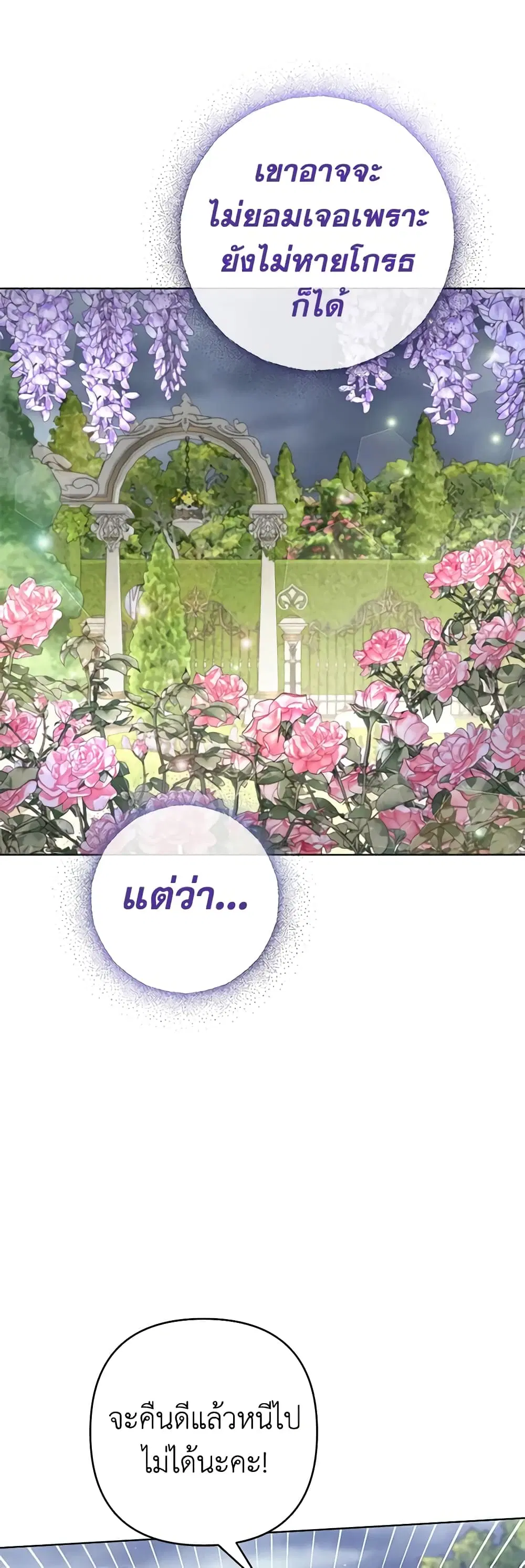 หน้า 26 จาก 56