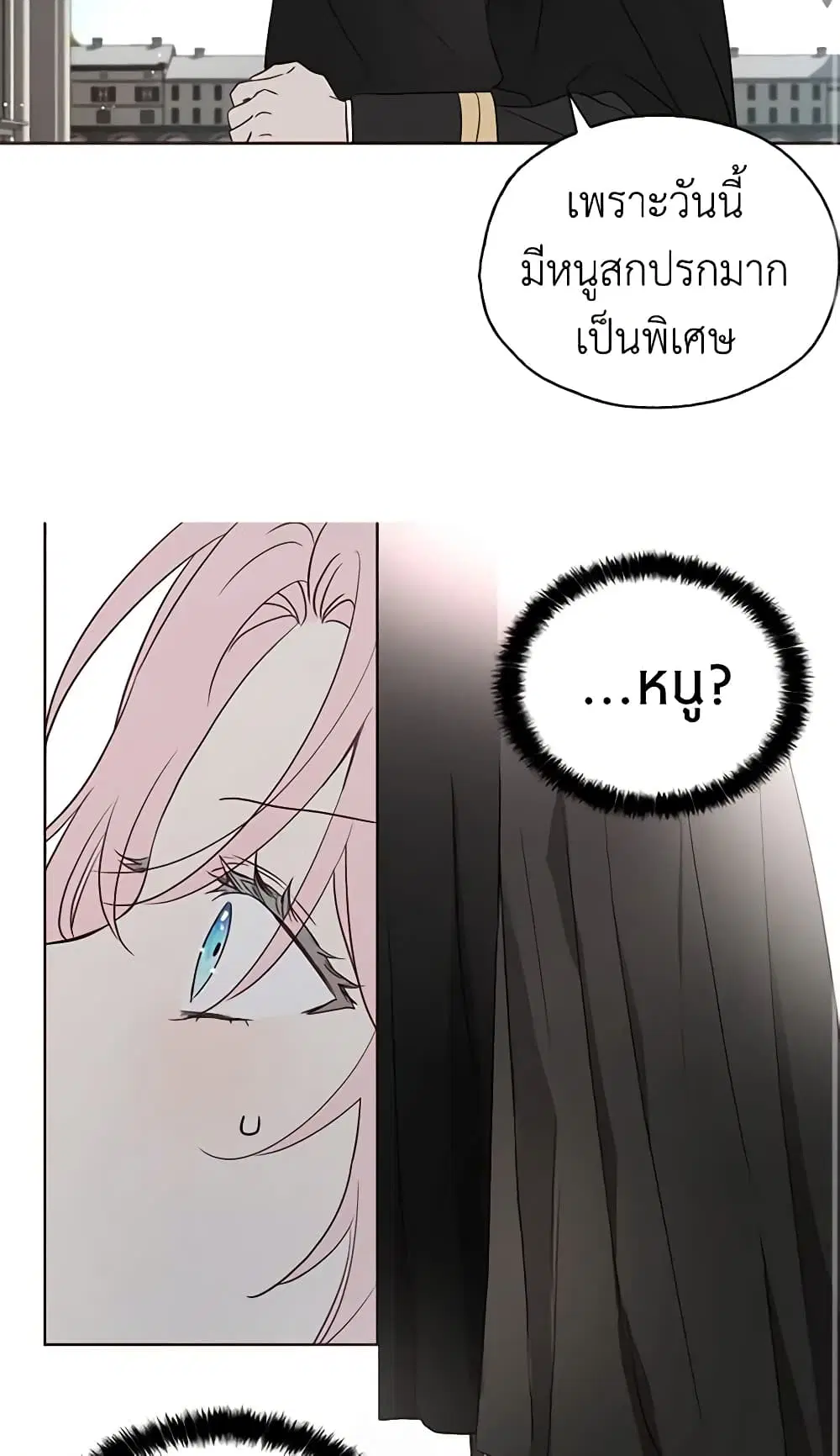 หน้า 15 จาก 42