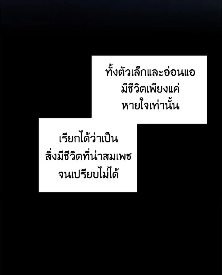 หน้า 68 จาก 102