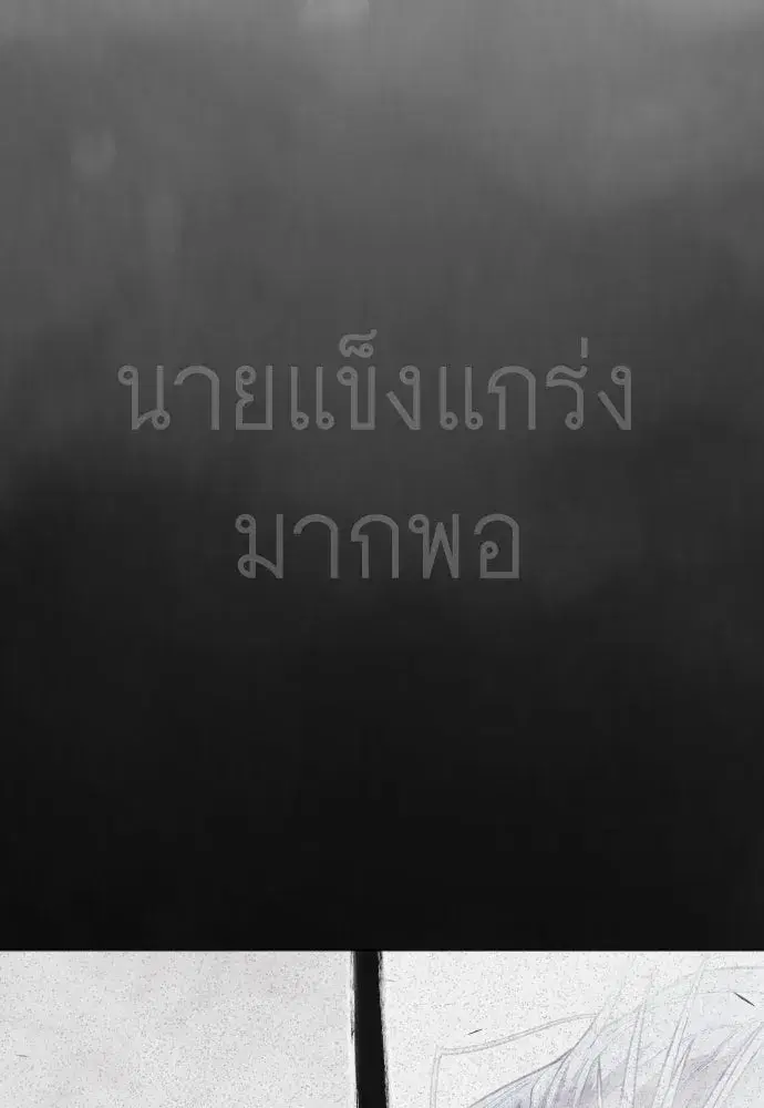 หน้า 11 จาก 245