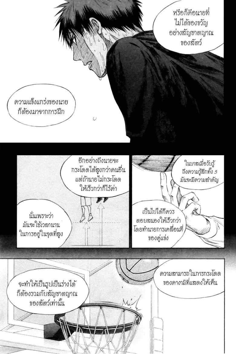 หน้า 9 จาก 19