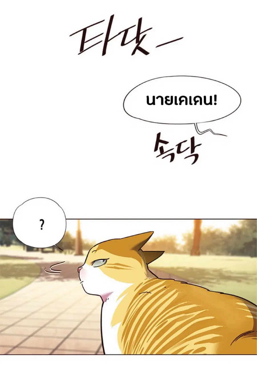 หน้า 43 จาก 81