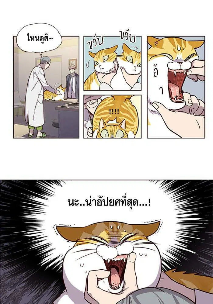 หน้า 33 จาก 63