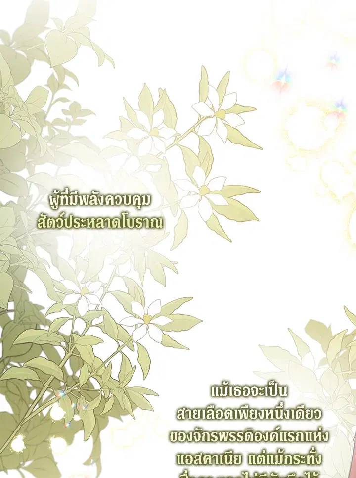 หน้า 36 จาก 107
