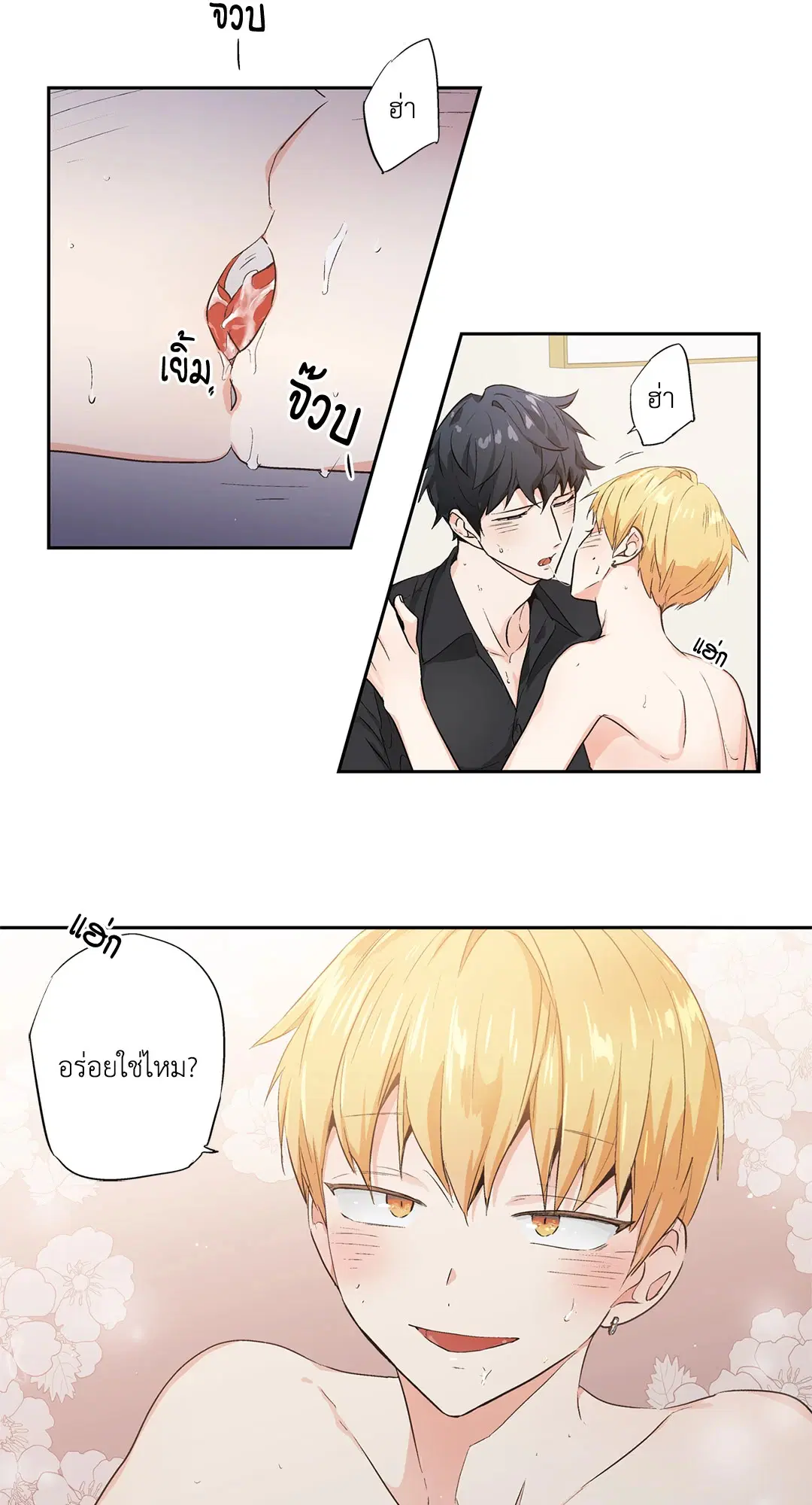 หน้า 5 จาก 39