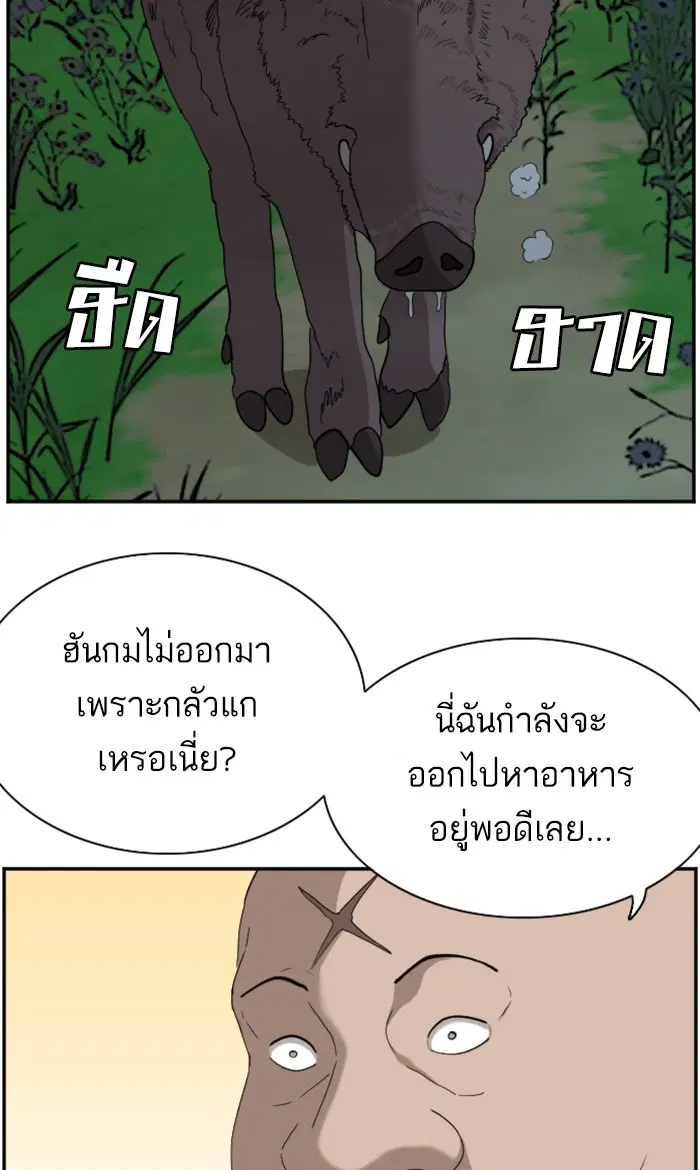หน้า 45 จาก 109