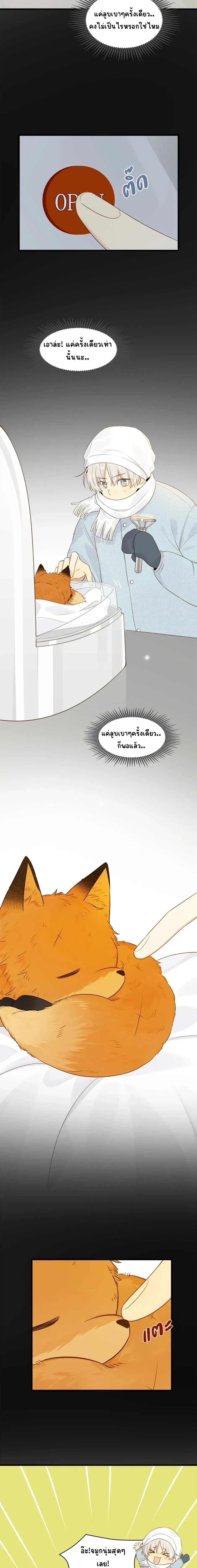 หน้า 8 จาก 11