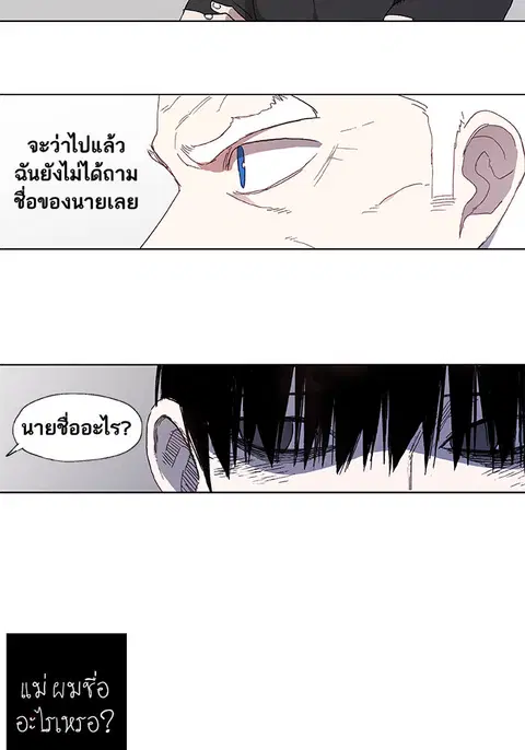 หน้า 28 จาก 43