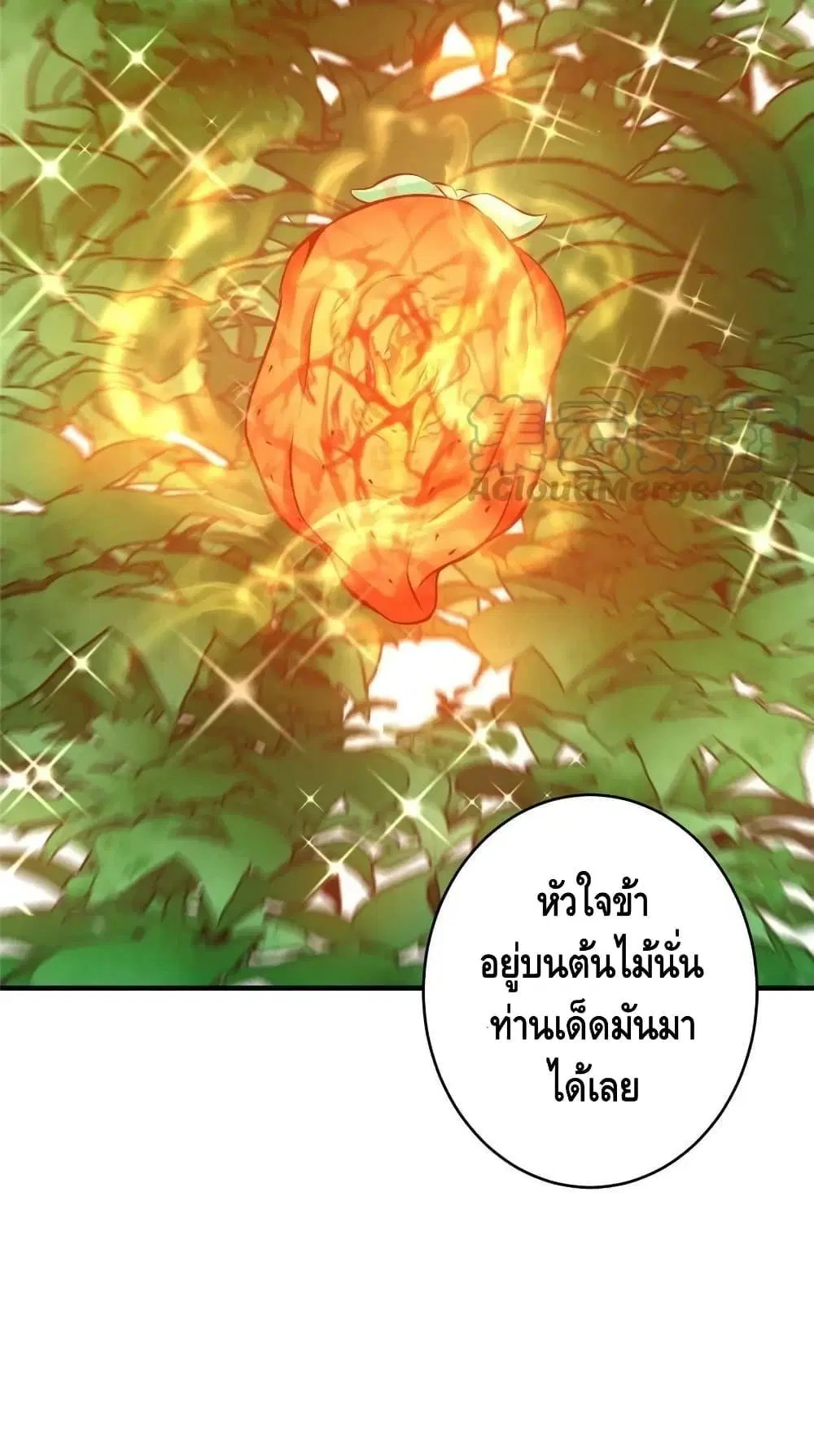 หน้า 41 จาก 42