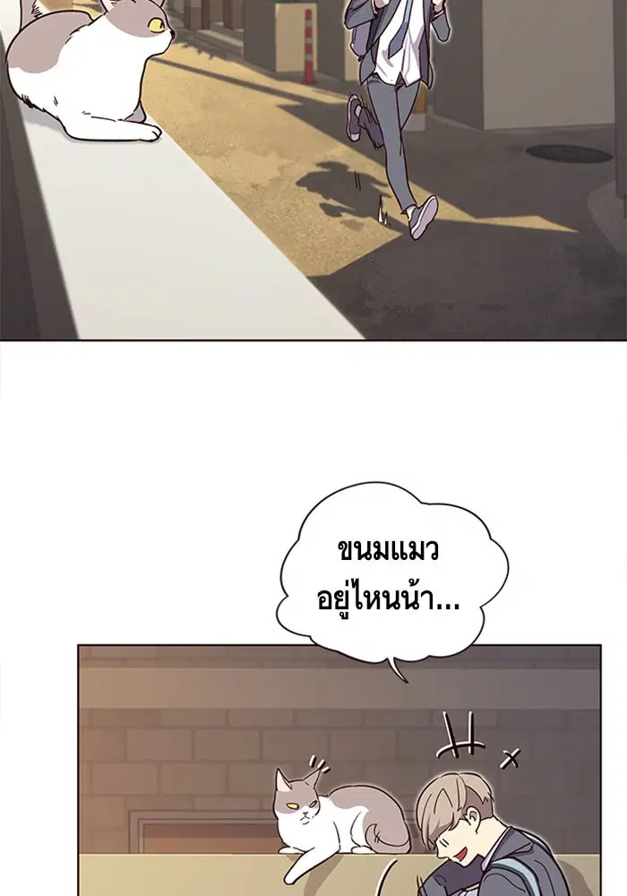 หน้า 43 จาก 111