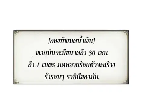 หน้า 36 จาก 64