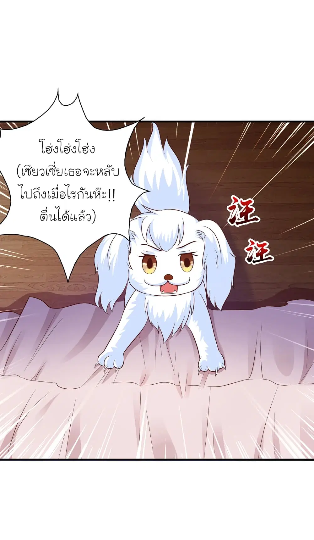 หน้า 36 จาก 41