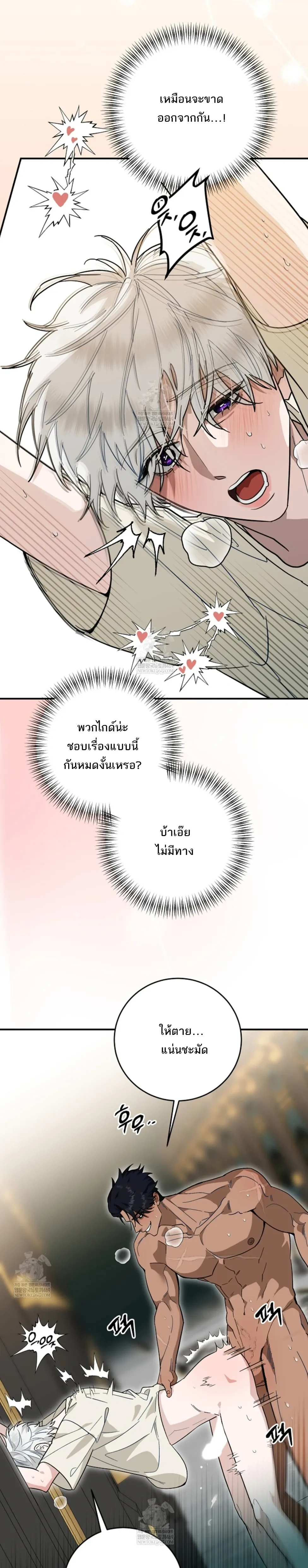 หน้า 9 จาก 31