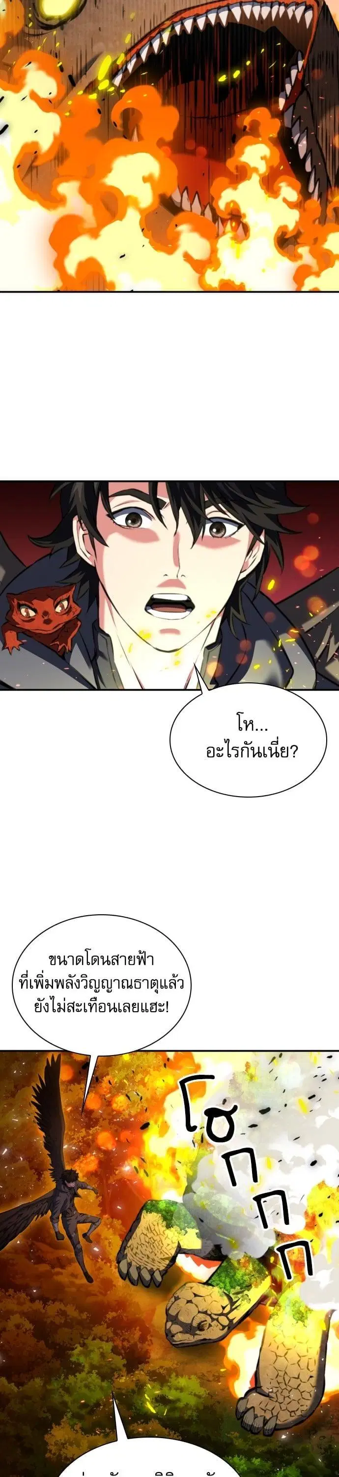 หน้า 13 จาก 49