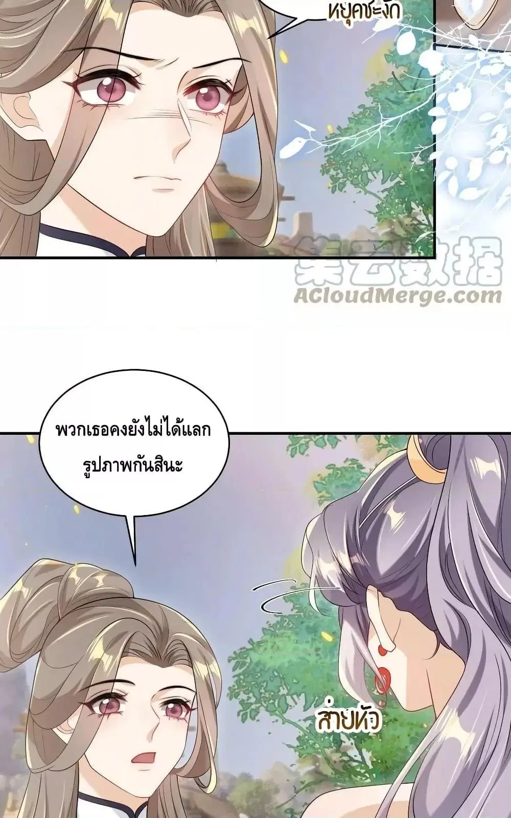 หน้า 19 จาก 42
