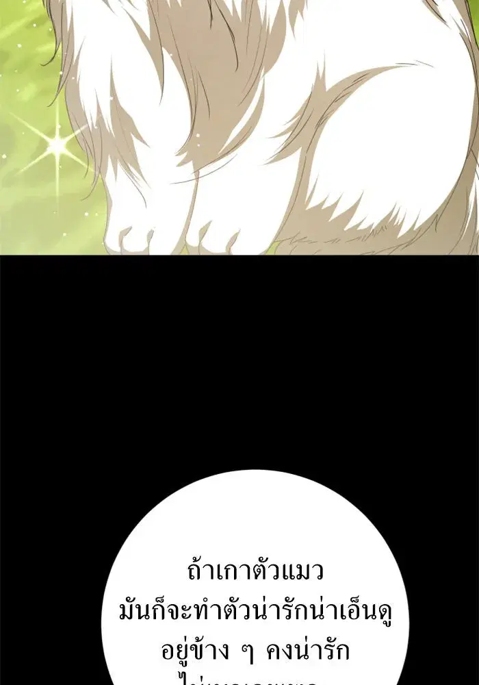 หน้า 34 จาก 154