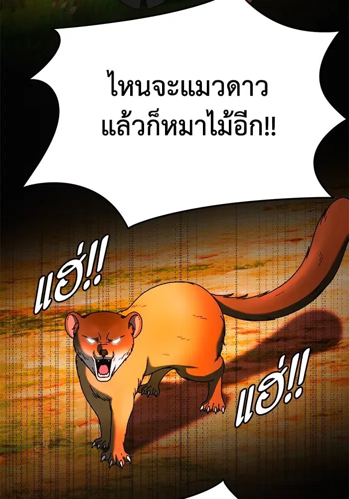 หน้า 13 จาก 186